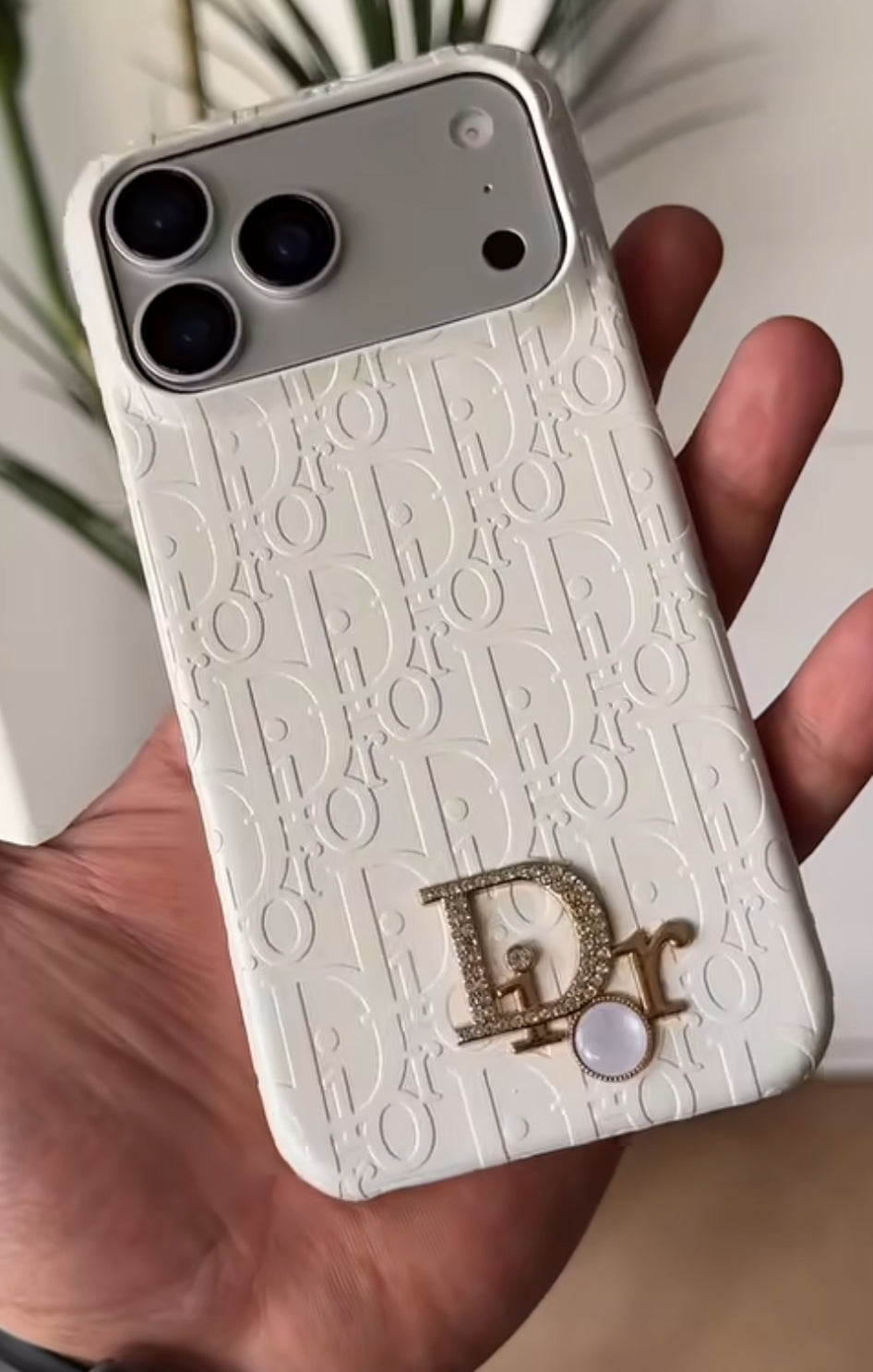 Dior Luxury Leather Case